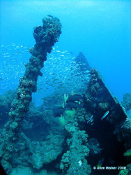 Nebo, Bow Section - Just an awesome dive for panoramic Sh... by Allen Walker 